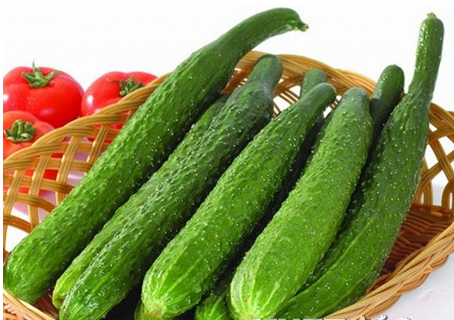 氮磷钾常用肥施用过多有危害