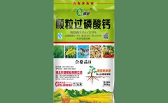 鄂楚彩粒
