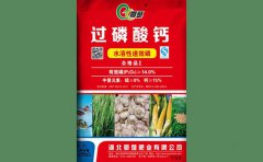 鄂楚红