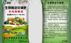 鄂楚生物酶-绿
